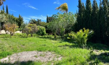 South-East Facing Plot: Ready-to-Build with Water Well