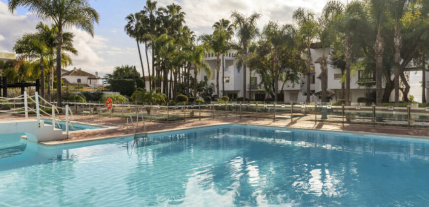 Luxurious Apartment in Puente Romano
