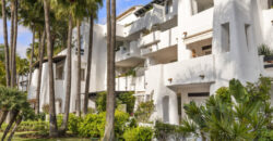 Luxurious Apartment in Puente Romano