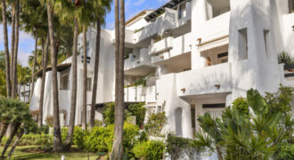 Luxurious Apartment in Puente Romano