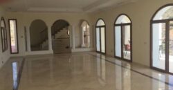 Stunning Villa in El Paraíso