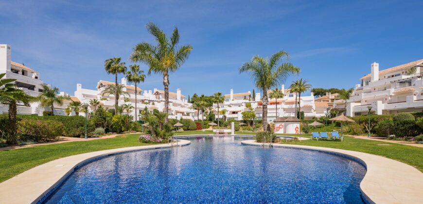 Beautiful Newly Renovated Apartment in Palm Beach