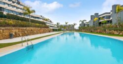 Modern Apartment in Exclusive Oasis 325 Development
