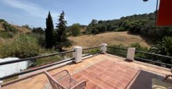 Charming Andalucian finca tucked away in the tranquil countryside of Casares