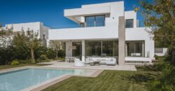 Nine luxurious Villas in El Paraiso