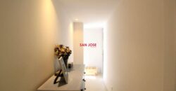 Stunningly renovated 3-bedroom apartment in Aldea Blanca