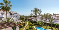 Stunningly renovated 3-bedroom apartment in Aldea Blanca