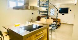 Lovely 2 Bedrooms duplex in Puerto Banus