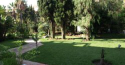 Beautiful ground-floor apartment in Puerto Banús