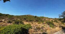 Plot 40000m2 Estepona