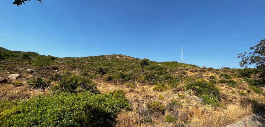 Plot 40000m2 Estepona