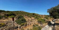 Plot 40000m2 Estepona