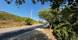Plot 40000m2 Estepona