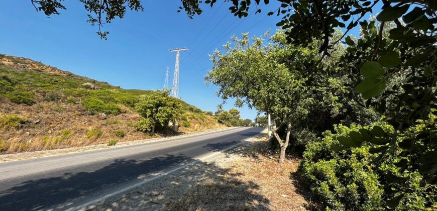 Plot 40000m2 Estepona