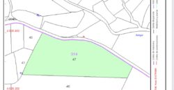 Plot 40000m2 Estepona