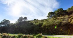 Scenic rural 5,000m² Plot with Sea & Mountain Views – Estepona