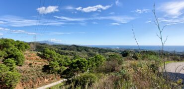 Scenic rural 5,000m² Plot with Sea & Mountain Views – Estepona