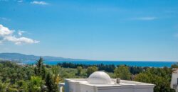 Beautiful newly reformed 3 bed apartment in Nueva Andalucía