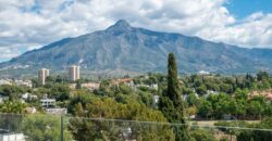 Beautiful newly reformed 3 bed apartment in Nueva Andalucía