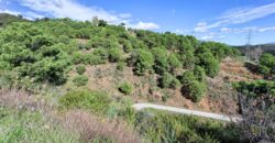 Scenic rural 5,000m² Plot with Sea & Mountain Views – Estepona