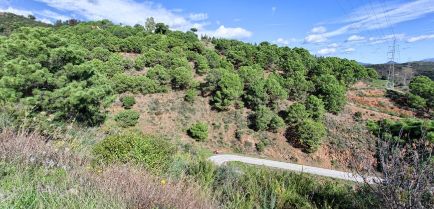 Scenic rural 5,000m² Plot with Sea & Mountain Views – Estepona