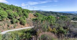 Scenic rural 5,000m² Plot with Sea & Mountain Views – Estepona