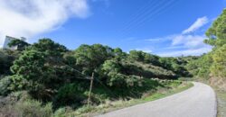 Scenic rural 5,000m² Plot with Sea & Mountain Views – Estepona