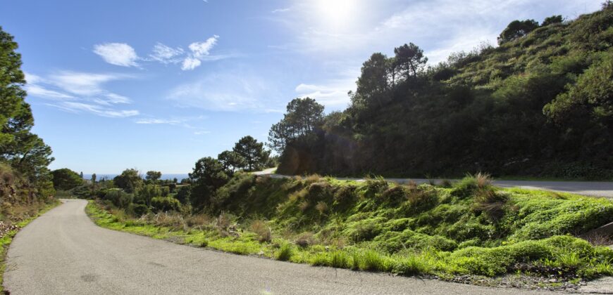 Scenic rural 5,000m² Plot with Sea & Mountain Views – Estepona