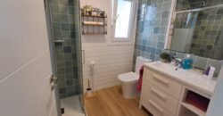 Renovated 5 bed Beachfront Villa with Direct Sea Access in Estepona