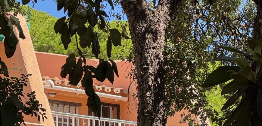 Charming 2-Bedroom Studio/Apartment in Estepona