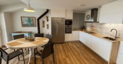 Renovated 5 bed Beachfront Villa with Direct Sea Access in Estepona