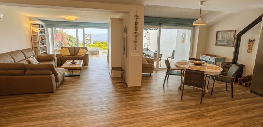 Renovated 5 bed Beachfront Villa with Direct Sea Access in Estepona