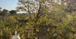 Charming Andalusian-Style Villa in Las Lomas, El Padron – Estepona