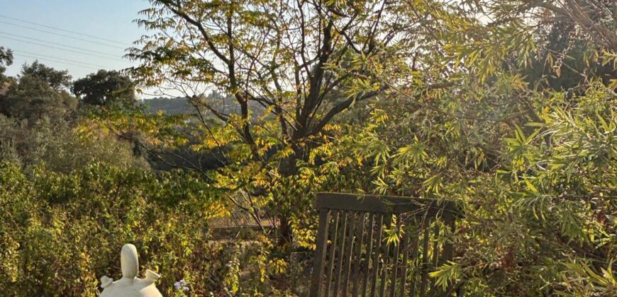 Charming Andalusian-Style Villa in Las Lomas, El Padron – Estepona