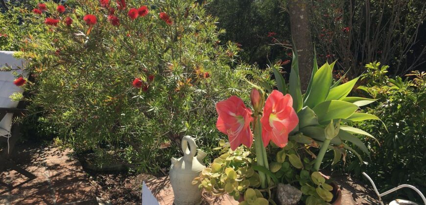 Charming Andalusian-Style Villa in Las Lomas, El Padron – Estepona