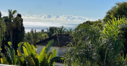 Mediterranean-style 5 bed villa with mature garden and swimming pool in Marbesa