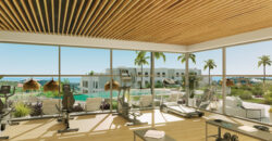 Amazing New Project in Casares