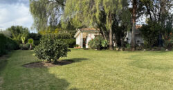 Charming Villa with Great Potential in Paraiso Medio