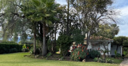 Charming Villa with Great Potential in Paraiso Medio