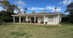 Charming Villa with Great Potential in Paraiso Medio