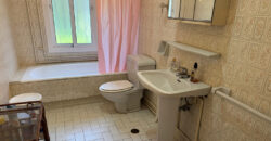 Charming Villa with Great Potential in Paraiso Medio