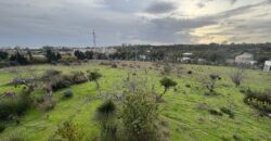 Traditional Finca with Sea Views on Large Rustic Plot, Urb Guadalmansa, Cancelada – Estepona