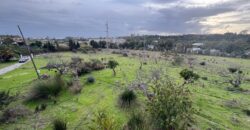 Traditional Finca with Sea Views on Large Rustic Plot, Urb Guadalmansa, Cancelada – Estepona