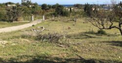 Traditional Finca with Sea Views on Large Rustic Plot, Urb Guadalmansa, Cancelada – Estepona