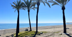 Commercial Premises for a Beach Bar and Restaurant in a Prime Location in Casares Beach